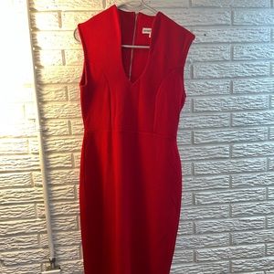 Mid Length Fitted Dress.